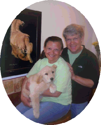 Golden Retriever Puppies - Ancient Dog Breeds (343x422), Png Download