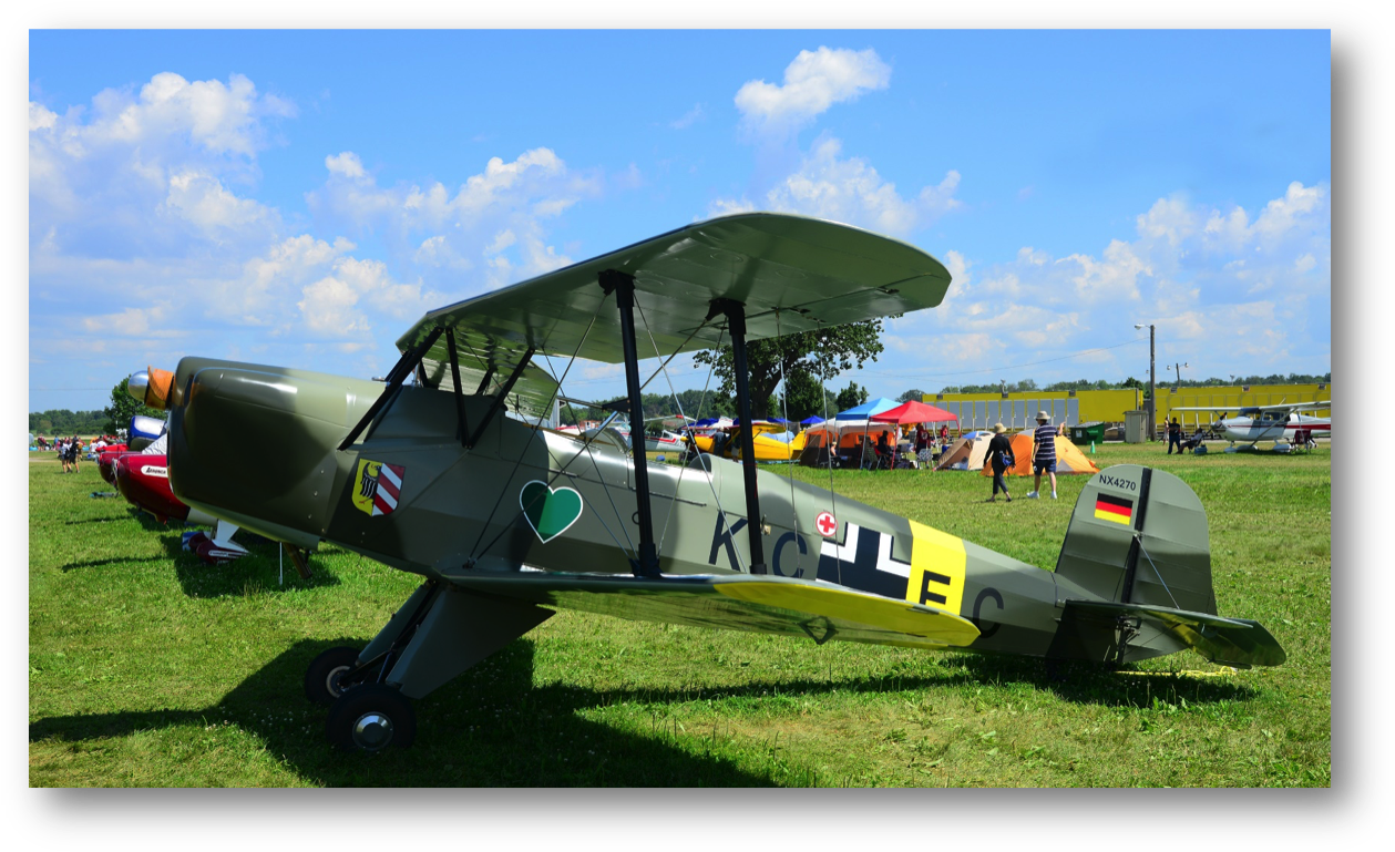 Grand Champion Customized Gold Lindy - Propeller-driven Aircraft (1272x782), Png Download