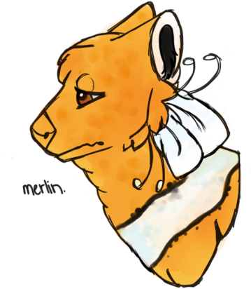 Finding Nemo Plumerains Tryout Form Thing *no Posting* - Companion Dog (1024x768), Png Download