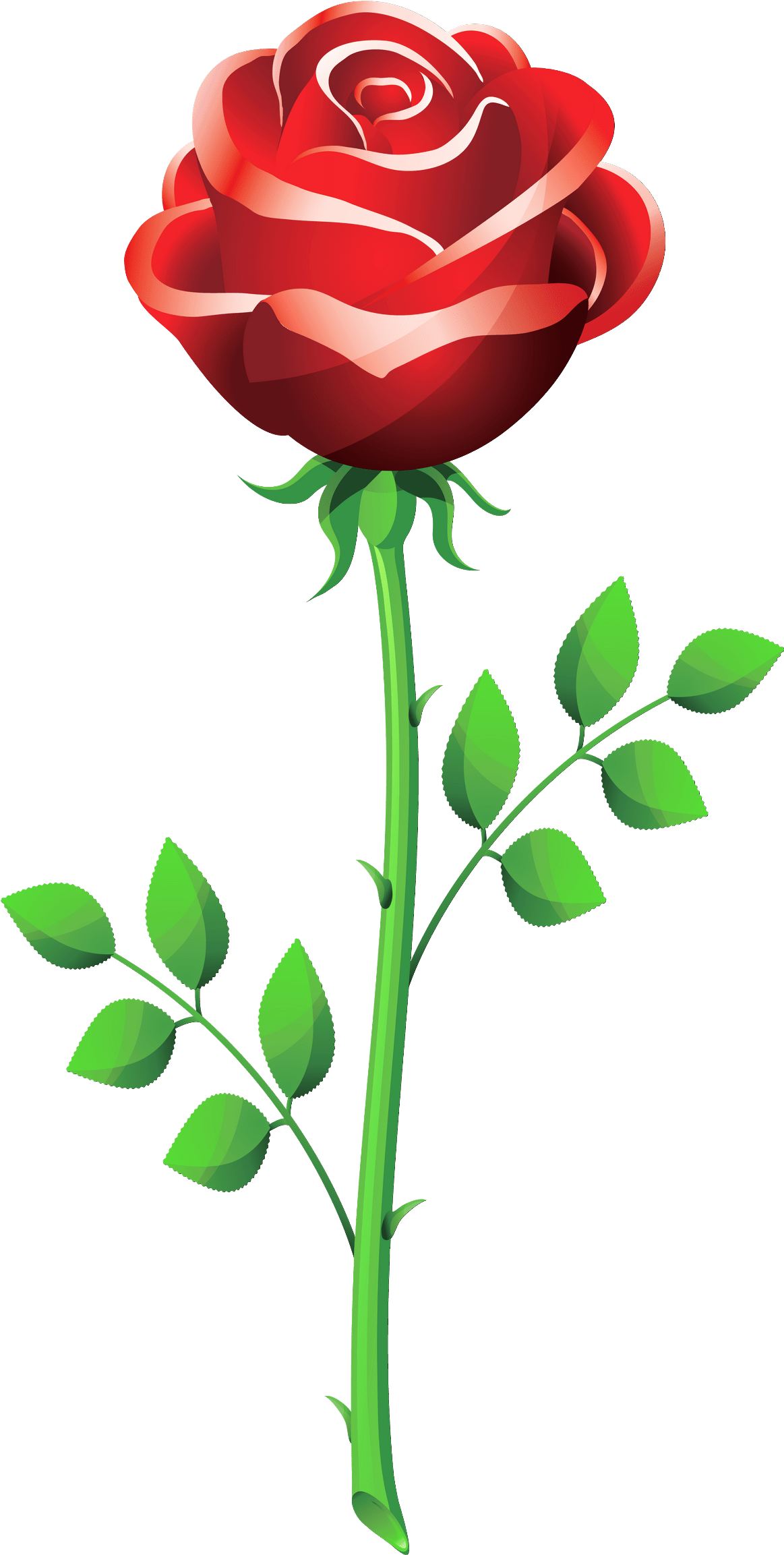 Rose Flower Vector Png (1223x2395), Png Download