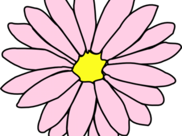 Single Flower Coloring Flower (640x480), Png Download