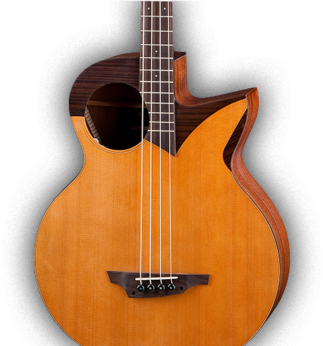 Lo-freak Series - Stanford Robot 4 Bass (480x500), Png Download