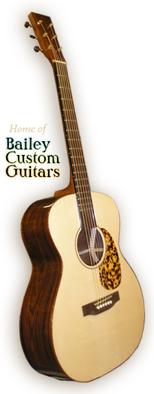 Bailey Guitar No Background - Acoustic Guitar (224x572), Png Download