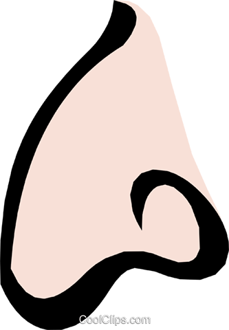Nose Royalty Free Vector Clip Art Illustration - Illustration (333x480), Png Download