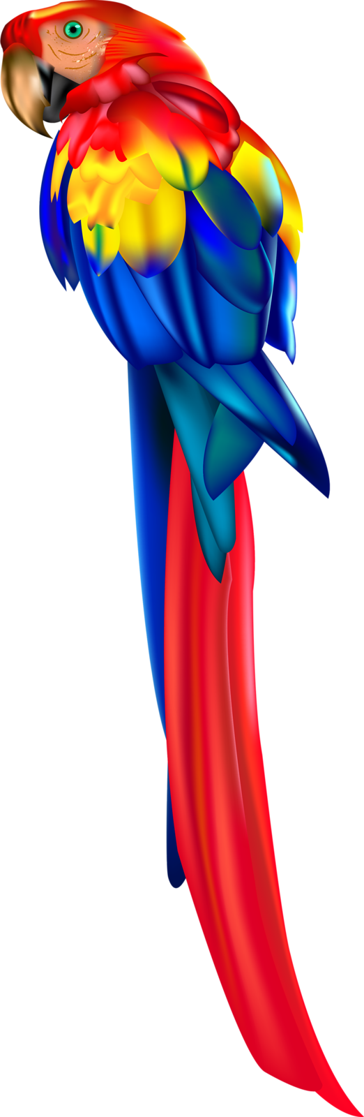 Фото, Автор Soloveika На Яндекс - Parrot Vector Png (522x1600), Png Download