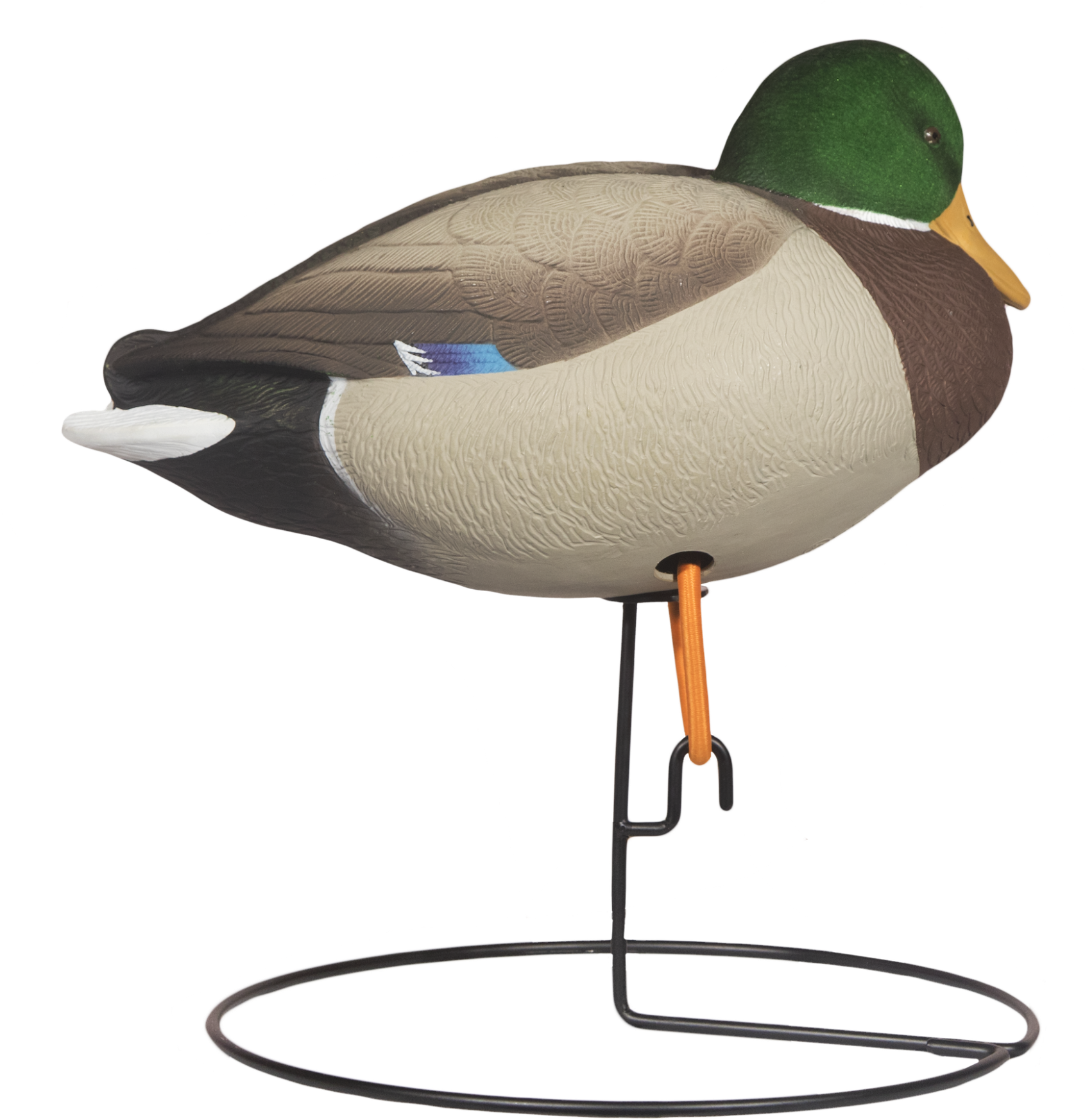Head Rugged Full Body Mallard Rester Drake Right Side - Mallard (2048x2048), Png Download