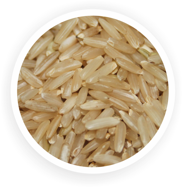 Organic Long Grain Brown Rice - Lundberg Brown Organic Long Grain Rice (617x625), Png Download