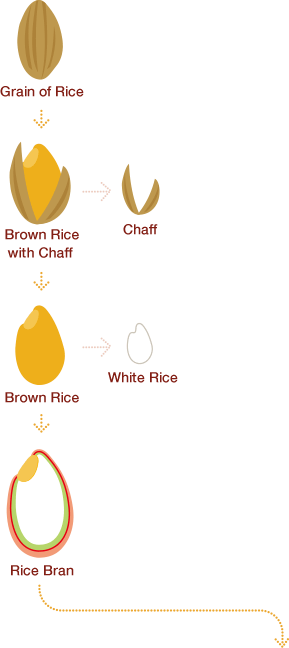 Rice Bran, A Superfood Packed With 80% Of The Nutrients - Brown Rice (289x648), Png Download