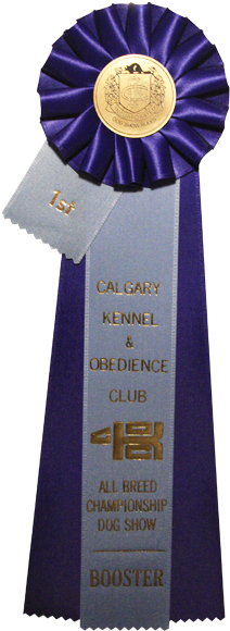 Medal (315x600), Png Download