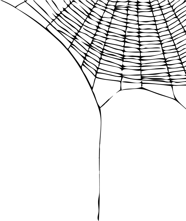 Spider Web Png Pic - Spider Web Transparent Background (830x716), Png Download