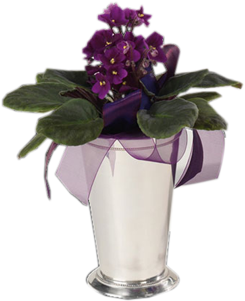 Violets In Silver Vase - Violets In A Vase (600x600), Png Download