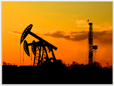 Patricia Mohr Stays Positive On Oil, Expects Rise In - Oil Miners (502x450), Png Download