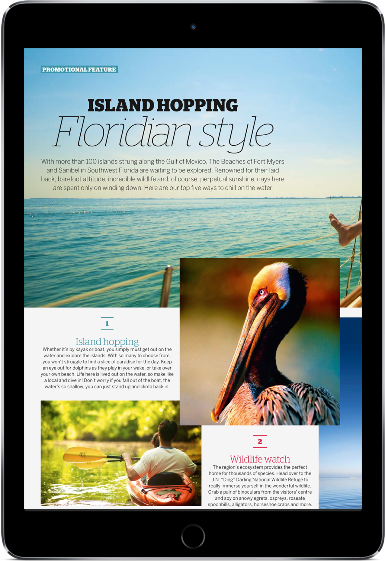 Nat Geo Ipad Image - Tablet Computer (1426x1988), Png Download