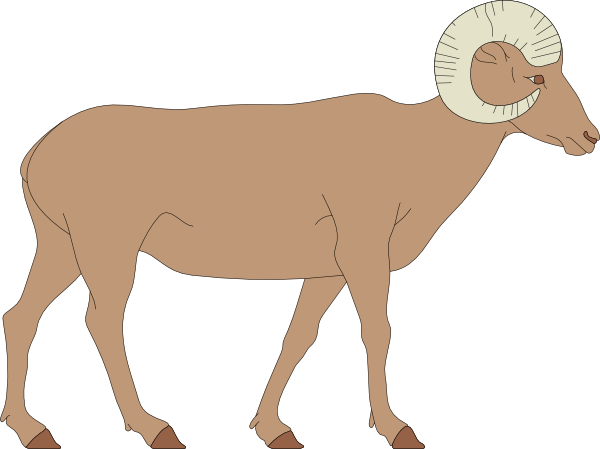 Clipart Sheep Horn Clipart - Bighorn Sheep Clipart (600x449), Png Download
