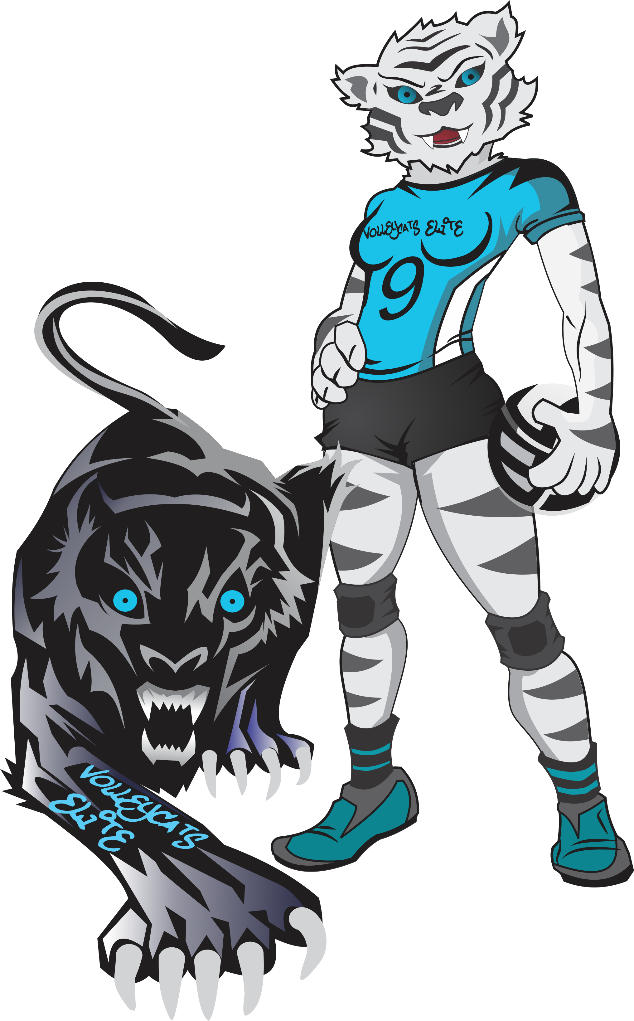 Never Stop Looking Up And 25 Volleyball Motivational - Volleycats Elite Logo (2033x3273), Png Download