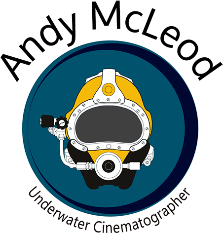 Underwater Director Of Photography - Illustration (500x499), Png Download