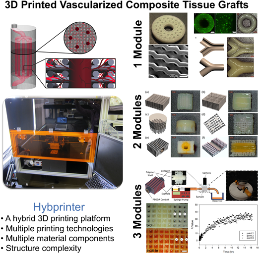 Figure 1 Shows The Schematic Of A Vascularized Composite - 3d Printing Tissue Engineering (529x521), Png Download