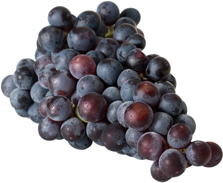 Grapes,winegrowing - Grape Growing: 150 Page Lined Notebook (500x397), Png Download