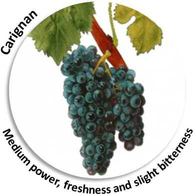 90% Of The Wine-making Process Secrets And Results - Black Grape (415x430), Png Download