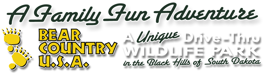 Cropped Bcusa Web Banner Sm - Seen On The Knot (1011x283), Png Download