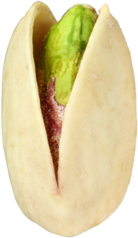 Pistachio Transparent (310x497), Png Download