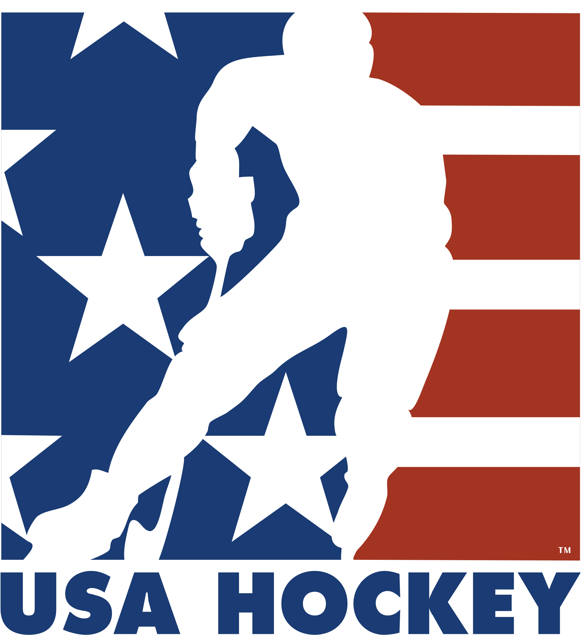 Usa Hockey Logo Png Transparent - Usa Hockey Logo (2400x2400), Png Download