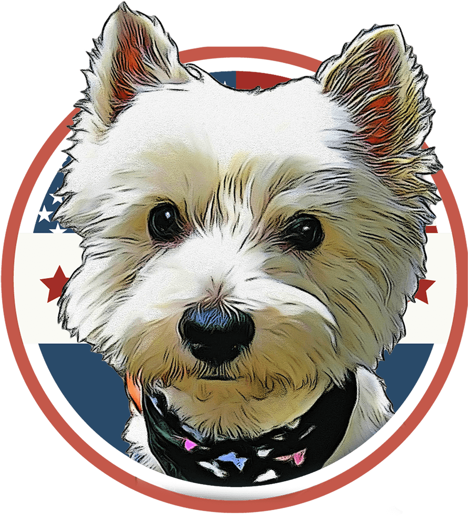 Custom Pet Portrait- American Flag / Digital File Only - West Highland White Terrier (1111x1111), Png Download