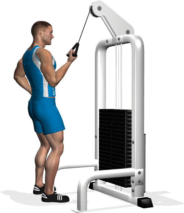 One Arm Cable Tricep Extension Reverse Grip Involved - Tricipiti Ai Cavi Presa Inversa (700x700), Png Download