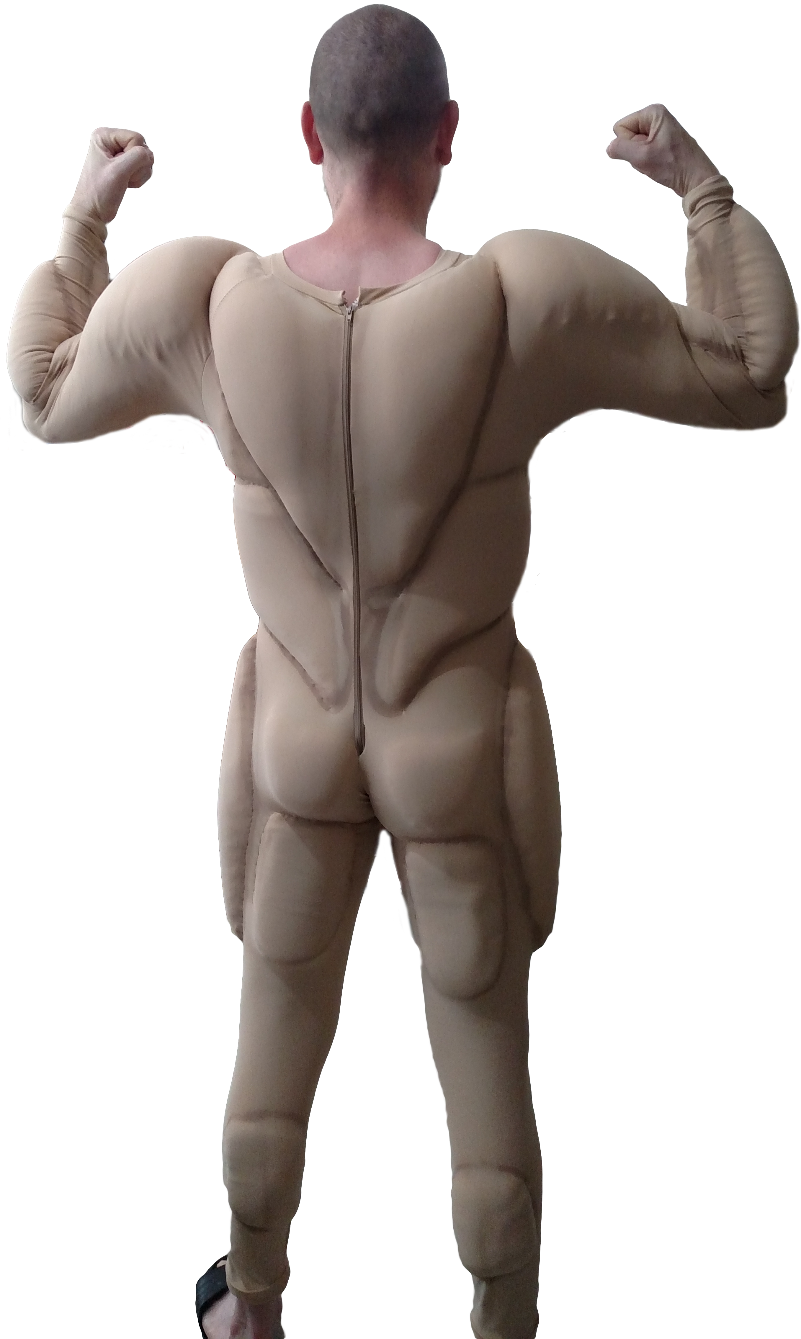 Back - Human Back (2842x4643), Png Download