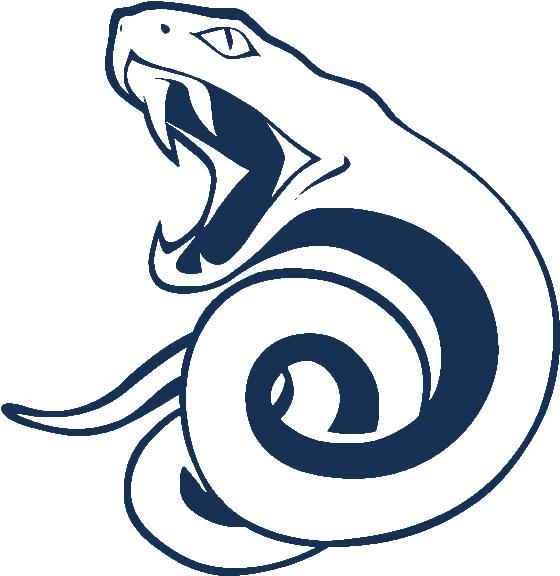 Vipers Logo-transparent - Viper Gang (647x635), Png Download