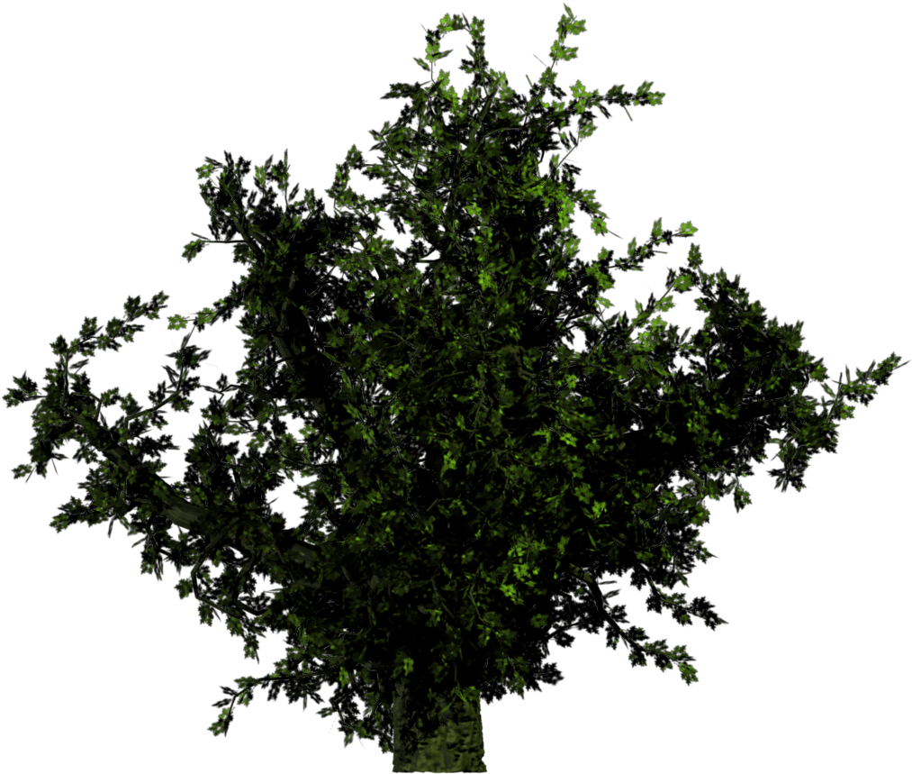 Shrub At Night Png (1024x1024), Png Download