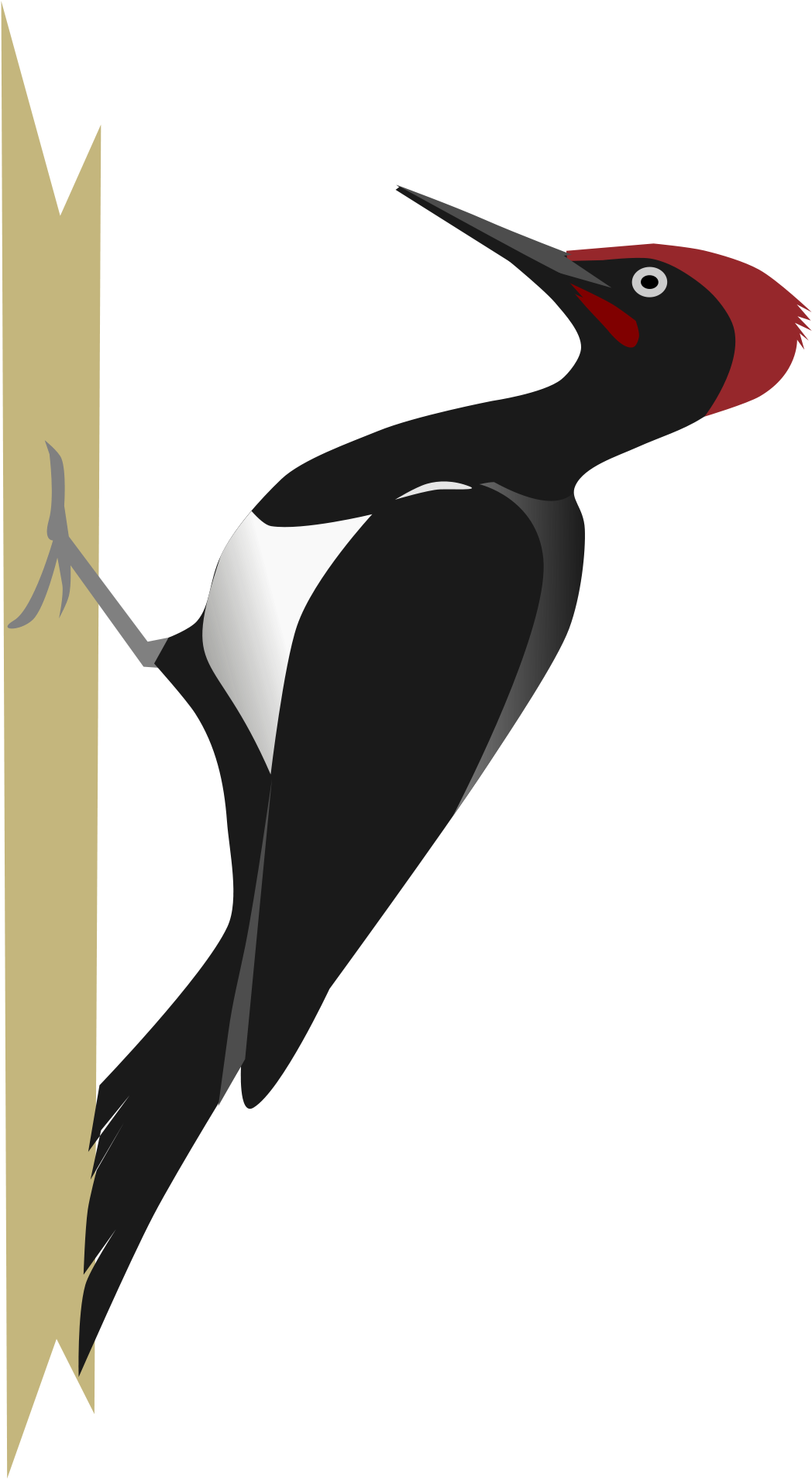 Woodpecker Png (2000x2000), Png Download