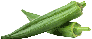 8994-pg - Transparent Okra (427x320), Png Download