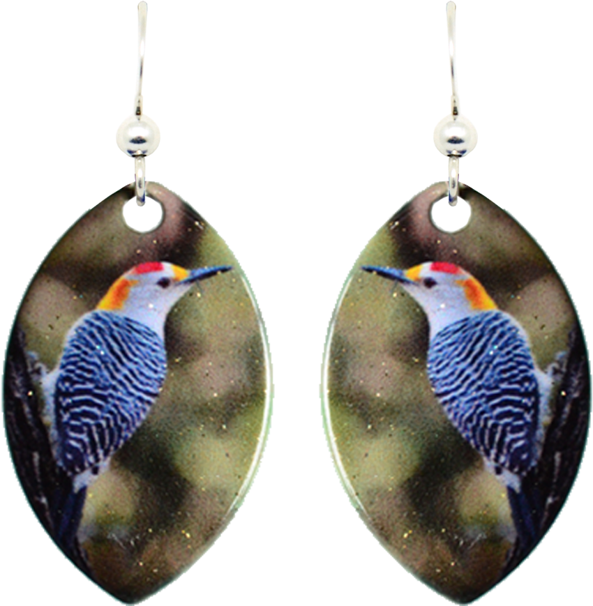 Golden-fronted Woodpecker - Earrings (1000x1000), Png Download