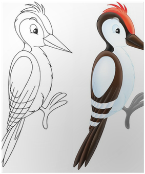 Woodpecker (400x400), Png Download