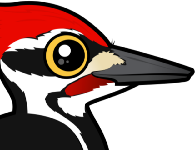 Woodpecker Clipart Red Headed Woodpecker - Birdorable Pileated Specht Kissen (640x480), Png Download