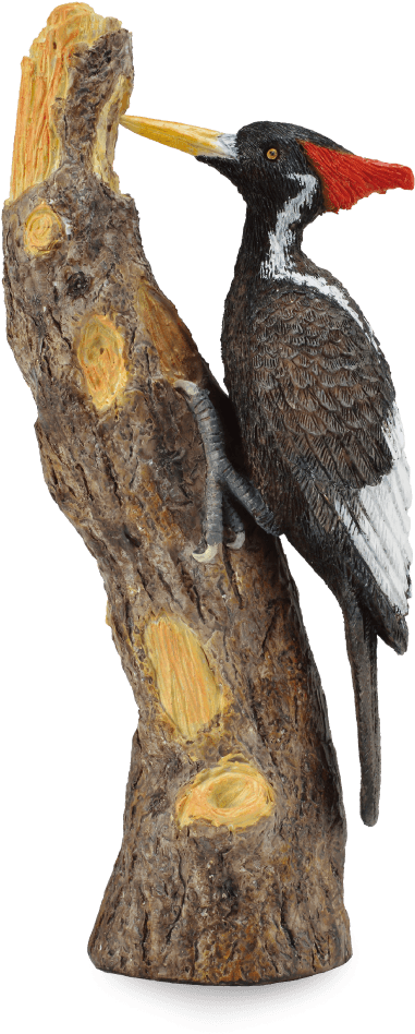 Collecta - Ivory-billed Woodpecker 88802 (1024x1024), Png Download