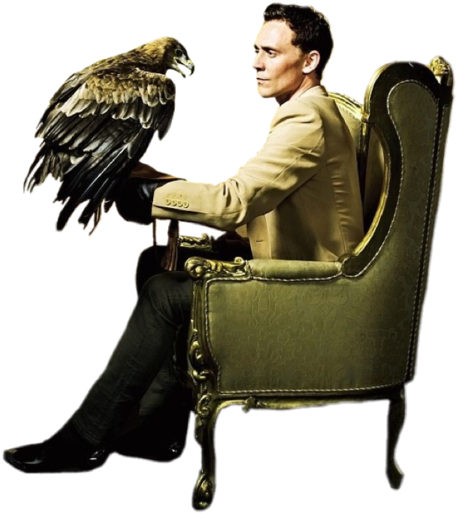 Go Back Gt Pix For Gt Tom Hiddleston Transparenttom - Tom Hiddleston (500x541), Png Download