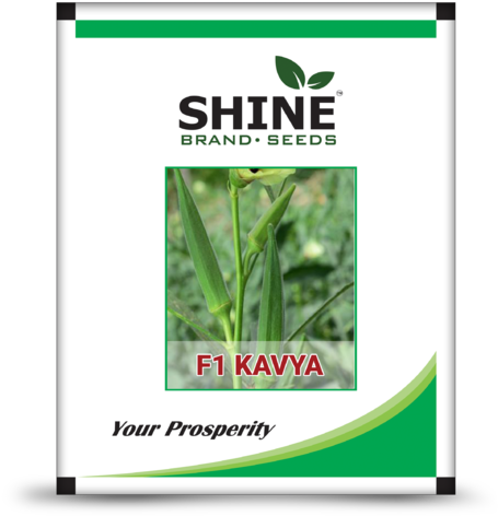 F1 Kavya Okra Seed - Shine Brand Seeds (480x500), Png Download