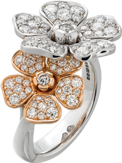 Engagement Ring (660x660), Png Download