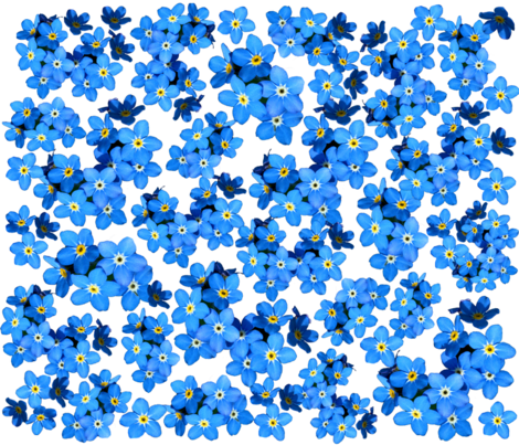 Forget Me Not Swatch Fabric By Mysticalarts On Spoonflower (470x403), Png Download