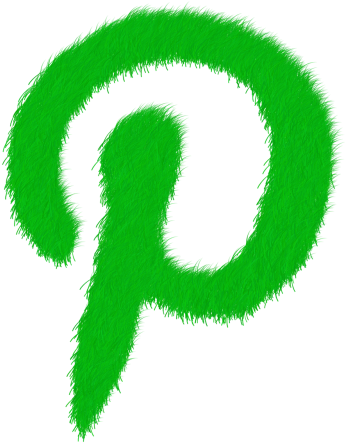 Social,social Network,pinterest, - Name Only Logos (500x500), Png Download