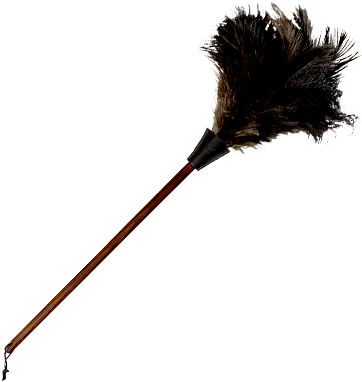 Feather Duster Transparent Png (401x400), Png Download