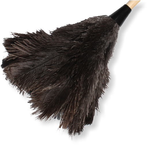 Home - Some Large Feather Duster (519x504), Png Download