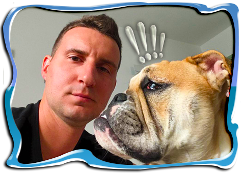 Allevamento Amatoriale Bulldog Inglesi Looney Bulls - Animal Husbandry (477x340), Png Download