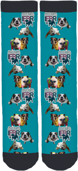 Il English Bulldog Rescue Crew Socks - Harrier (284x599), Png Download