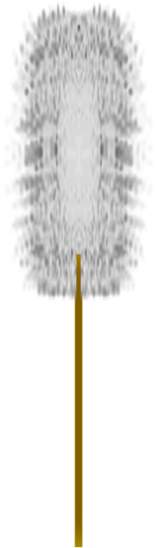 Download Zip Archive - Grass (750x650), Png Download