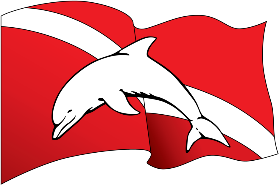 Birthday Gift Cards - Beach Cities Scuba (1024x738), Png Download