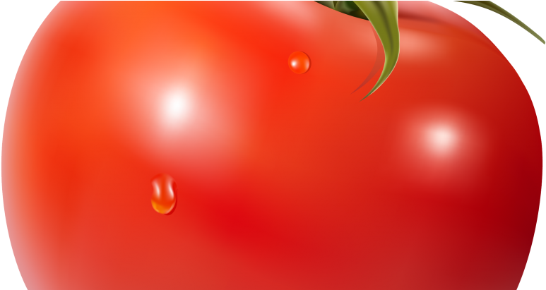 Posts Tagged 'guy Fawkes' - Soup (875x410), Png Download