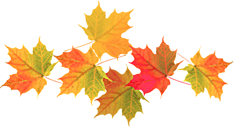 Of Course Some Of Us Here Being Good Scots, We Wholeheartedly - Autumn Leaf (472x256), Png Download